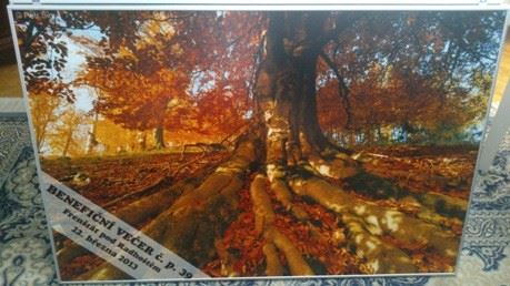 Jedna z vydražených fotografií