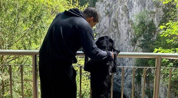 Když zvířatům zasvětíte život