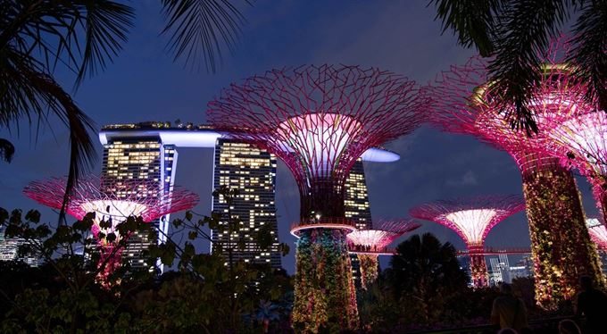 Z mrakodrapů do přírodního ráje: Manažeři Partners obdivovali Singapur a Malajsii 